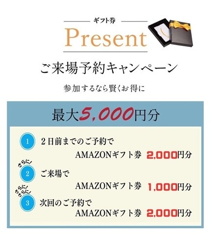 a1.png